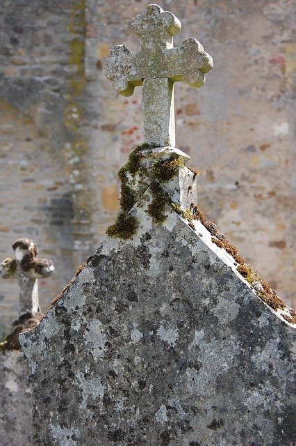 Professional Service Insurance Tips